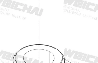 Пробка слива масла двигателя Baudouin 4M06G50